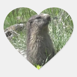 Sticker Cœur marmotte printemps fleurs animaux