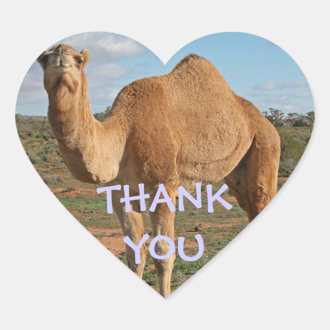 STICKER CŒUR MERCI CAMEL (Devant)