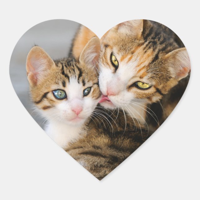 Sticker Cœur Mère Chat aime mignon Bébé Kitten Animal Animaux A (Devant)