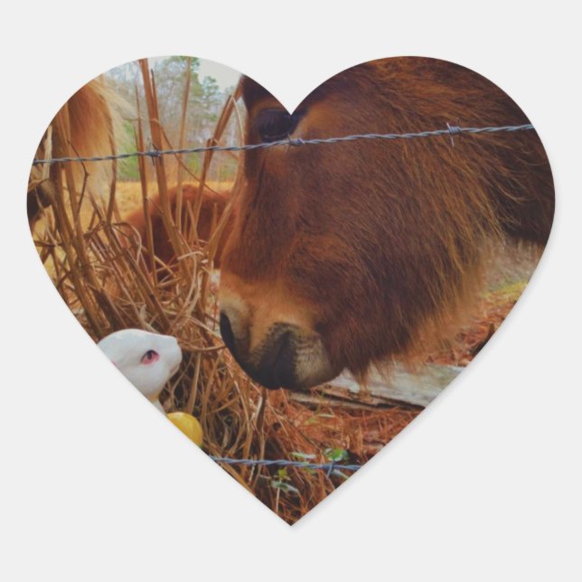 Sticker Cœur Miniature cheval Brown et lapin de Pâques (Devant)