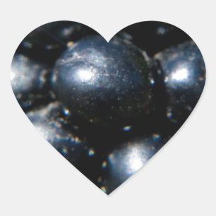 Sticker Cœur Mûres