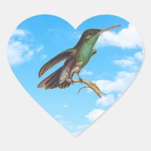 Sticker Cœur Nature sauvage J'aime les colibris