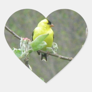 Sticker Cœur Objets représentant les oiseaux chanteurs d'été