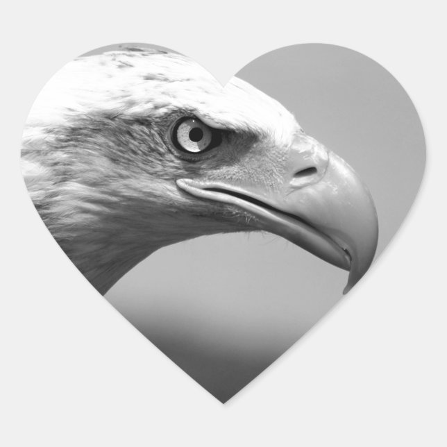 Sticker Cœur Oeil d'aigle noir et blanc (Devant)