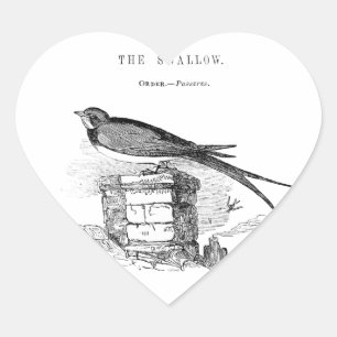 Sticker Cœur oiseau vintage