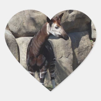STICKER CŒUR OKAPI