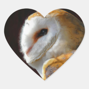 STICKER CŒUR OWLS