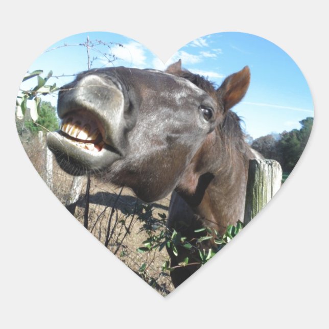 Sticker Cœur Parler de cheval Brown (Devant)