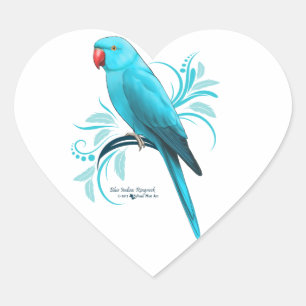 Sticker Cœur Parrot bleu indien Ringneck