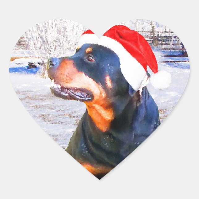 Sticker Cœur Peinture de Noël de chien Rottweiler (Devant)