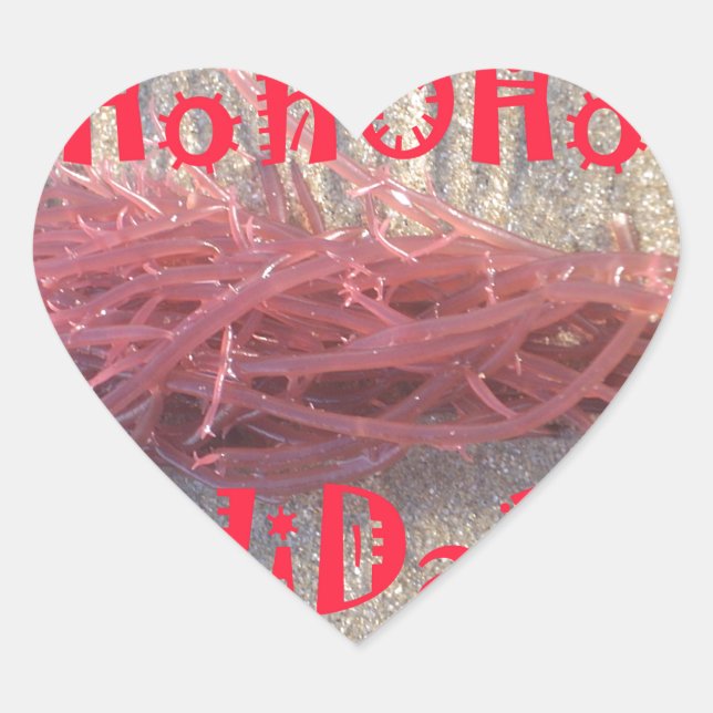 Sticker Cœur Père Noël HoHoHo Joyeux Noël des couleurs de la pl (Devant)