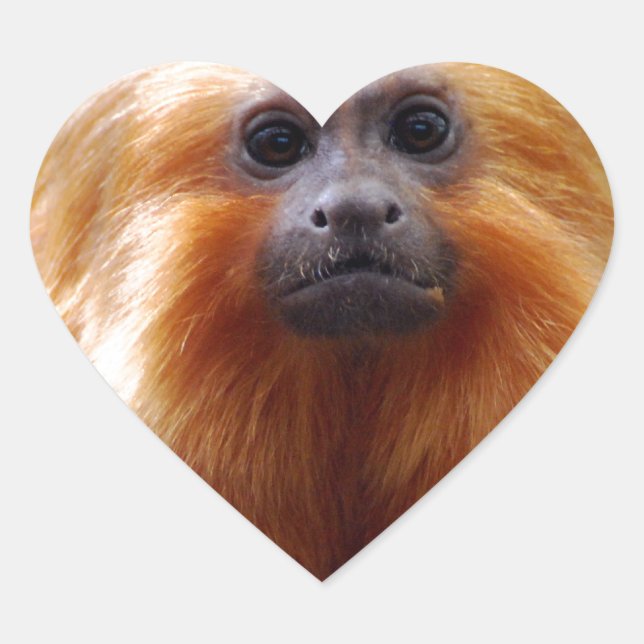 Sticker Cœur Personnaliser (Devant)