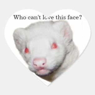 Sticker Cœur Photo Albino Ferret