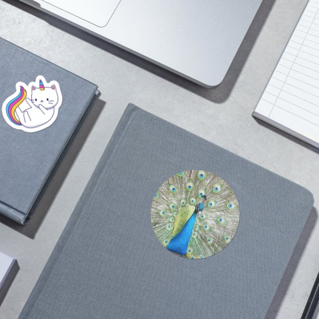 Sticker Cœur Photo Plumage Peacock bleu (In Situ Book)