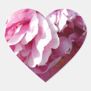 Sticker Cœur Pies roses