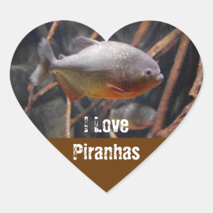 Sticker Cœur Piranha - Poisson Brown à l'air innocent