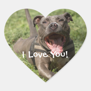 Sticker Cœur Pitbull Brown Personnalisé En Herbe
