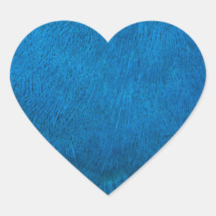 Sticker Cœur Plumes de paon bleu