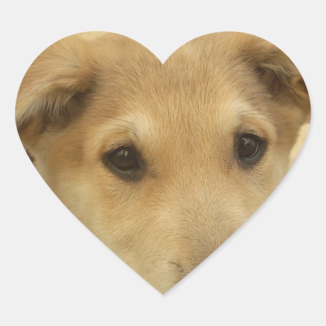 Sticker Cœur Puppy Love : Le meilleur ami de l'homme (Devant)