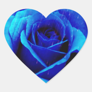Sticker Cœur Rose bleu spectaculaire