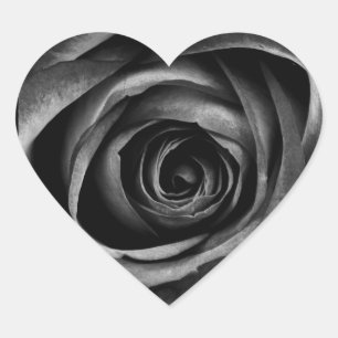Sticker Cœur Rose noire et grise cool Fleur sombre en fleurs