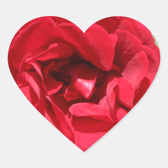 Sticker Cœur Rose rouge foncé Bardou Job (Devant)