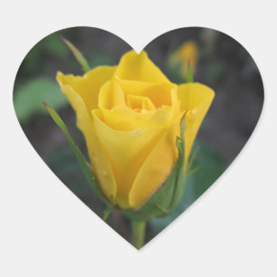 Sticker Cœur Rosebud jaune