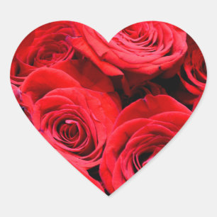 Sticker Cœur Roses rouges