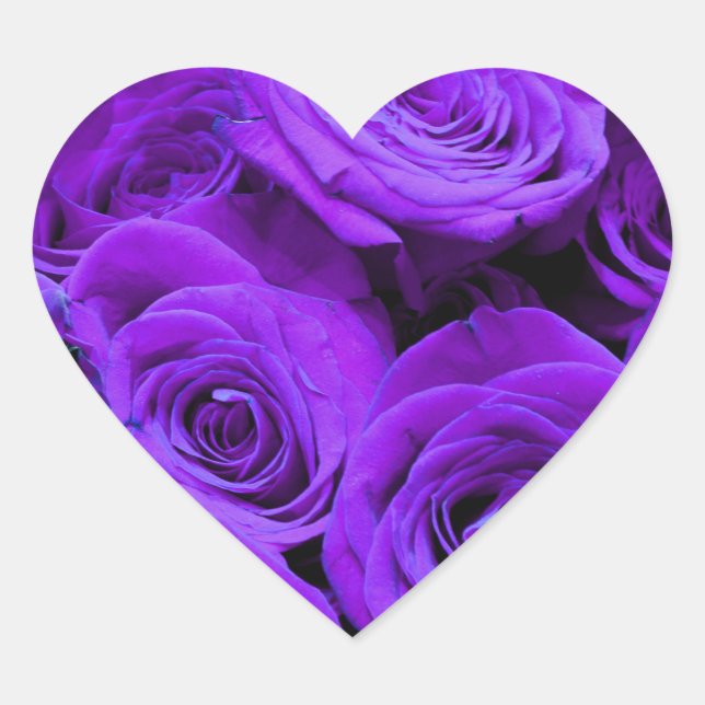Sticker Cœur roses violet romantique, joli bouquet de rose (Devant)