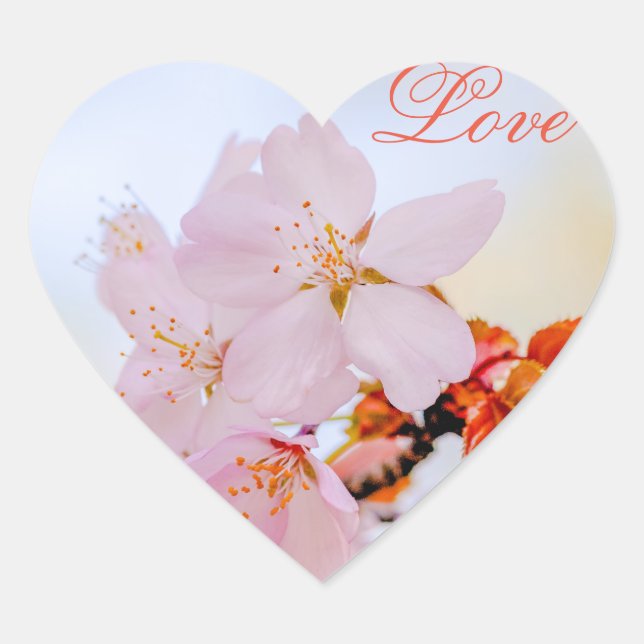 Sticker Cœur Sakura - Fleur de cerisier japonaise (Devant)