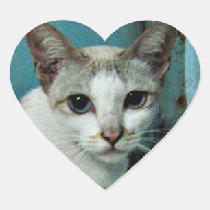 Sticker Cœur Siamese Chat Friend