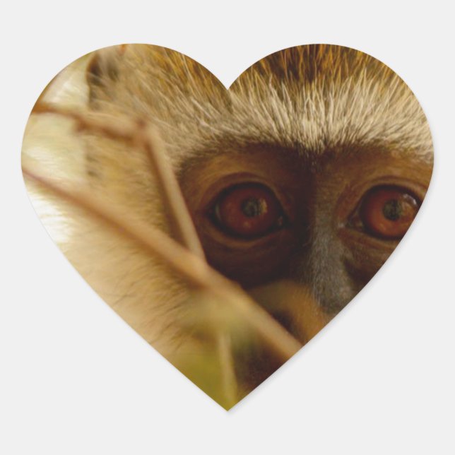 Sticker Cœur Singe effronté. (Devant)