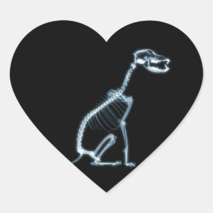 STICKER CŒUR SKELETON X-RAY CHIEN SITTING - BLEU & NOIR