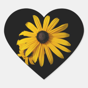 Sticker Cœur Susans aux yeux noirs