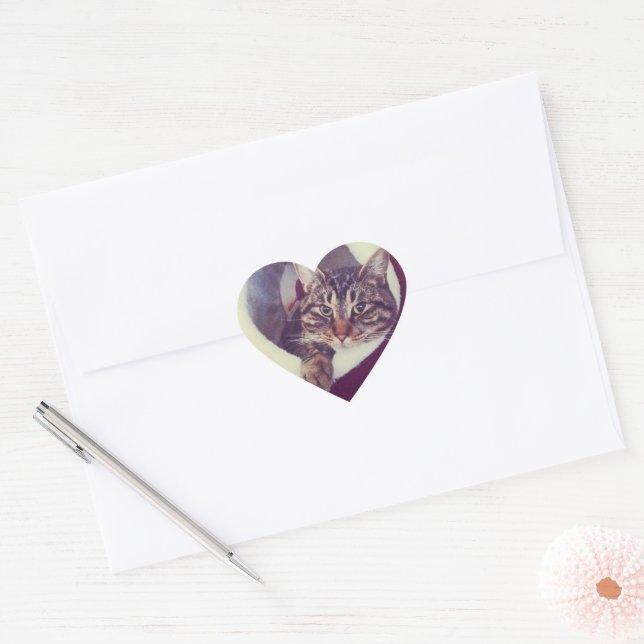 Sticker Cœur Tabby Kitty Dans La Cabine Photo De Gros Plan (Enveloppe)