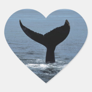 Sticker Cœur Tail de Humpback