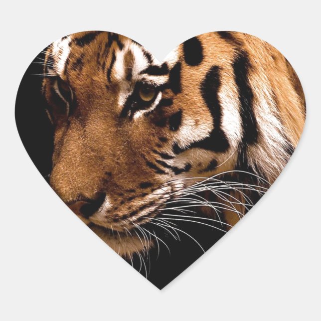 Sticker Cœur Tiger (Devant)