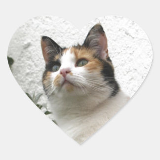 Sticker Cœur Tortoiseshell et Chat blanc