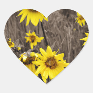 Sticker Cœur Tournesol dans la Montagne Rocheuse