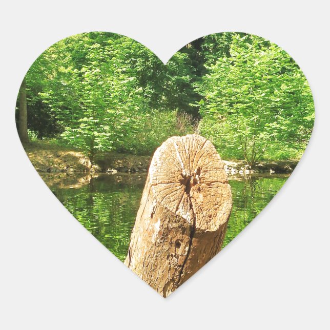 Sticker Cœur Tree Trunk Nature Photographie Parc du lac (Devant)