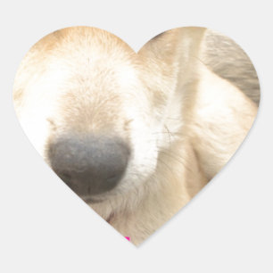 Sticker Cœur Tu Devrais WIFI Ton Amour Tous Les Jours