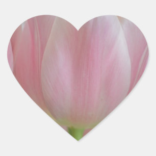 Sticker Cœur Tulipes douces