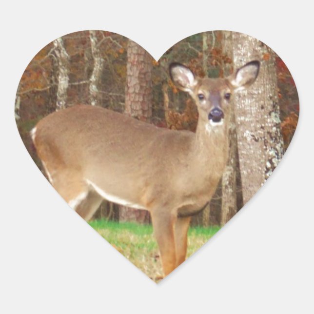 Sticker Cœur Un cerf de rêve de chasseur (Devant)