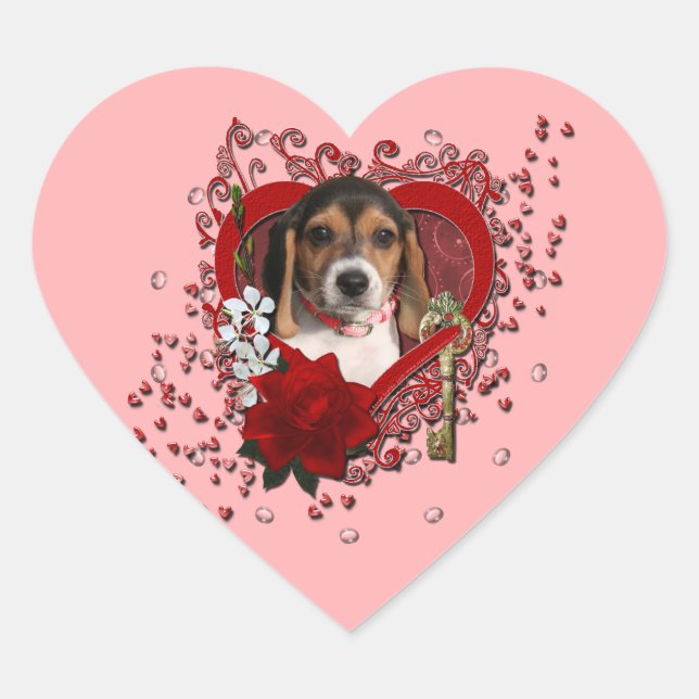 Sticker Cœur Valentines - Clé de mon coeur - Beagle Chiot (Devant)