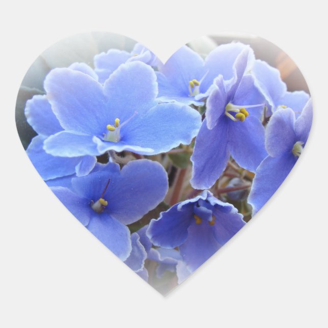 Sticker Cœur Violettes africaines bleues (Devant)