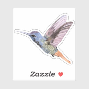 Sticker Colibri dessiné main