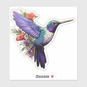 Sticker Colibri pourpre