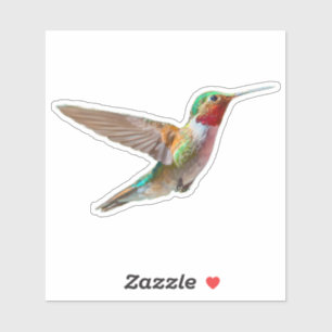 Sticker Colibri réaliste