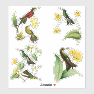 Sticker Colibris vintages avec des plantes tropicales