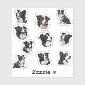Sticker collie de bordure